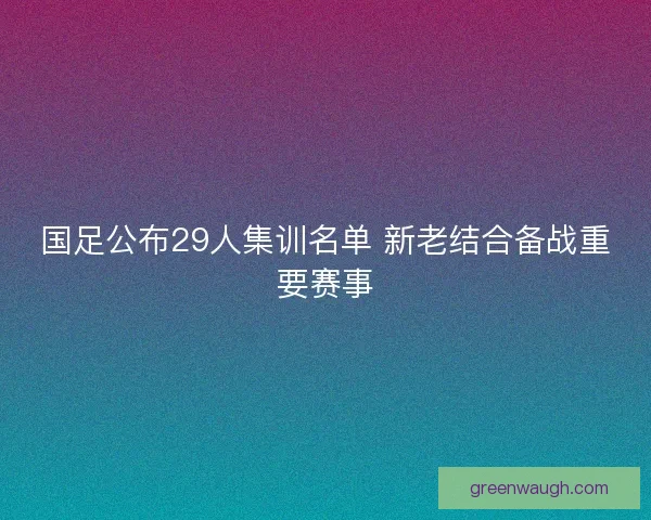 国足公布29人集训名单 新老结合备战重要赛事