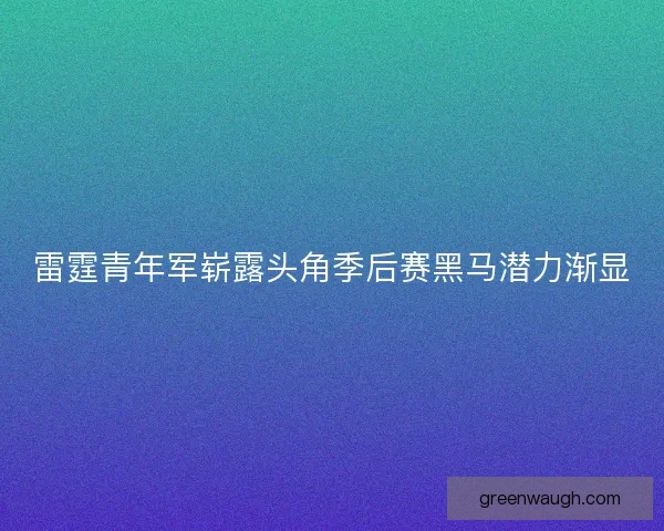 雷霆青年军崭露头角季后赛黑马潜力渐显